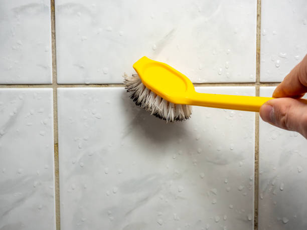Best Mold Testing and Removal  in York Harbor, ME