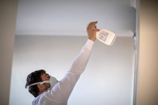 Office Mold Removal Services in York Harbor, ME