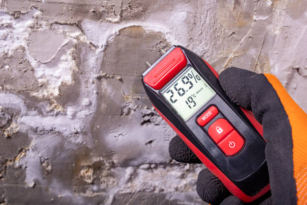 Office Mold Removal Services in York Harbor, ME
