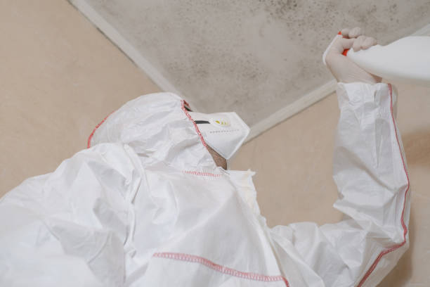 Mold Testing and Removal in York Harbor, ME